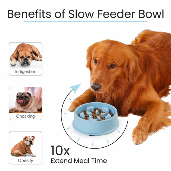 BarkAndMeow Premium Slow Feeder Puzzle Dog Bowls – Anti-Choke, Anti-Slip Maze Dishes for Any Breeds