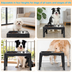 BarkAndMeow Premium Elevated Slow Feeding System For All Breeds