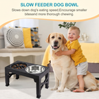 BarkAndMeow Premium Elevated Slow Feeding System For All Breeds