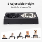 BarkAndMeow Premium Elevated Slow Feeding System For All Breeds