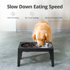 BarkAndMeow Premium Elevated Slow Feeding System For All Breeds