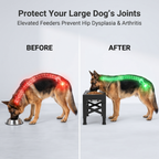 BarkAndMeow Premium Elevated Slow Feeding System For All Breeds